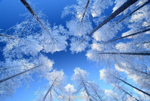 冬天的倾听
