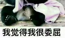 那天，我真委屈