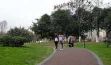 春天的沙河公园