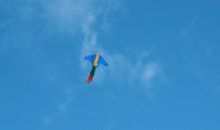 龙形风筝高高飞