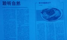 我当编辑的日子