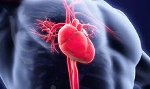 北极熊给人类的一封信