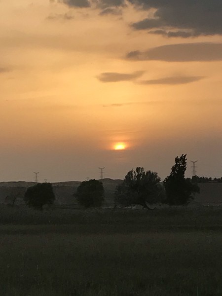 回到夕阳
