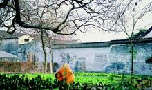 《从百草园到三味书屋》仿写