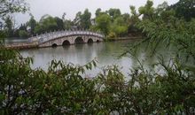 假如我是一场雨