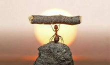 像什么一样生活