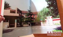 “真善美”的赞歌_450字