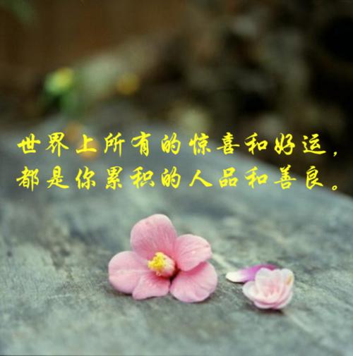 善良的人总是很幸运