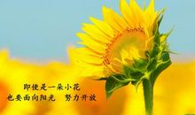 善良就在我身边