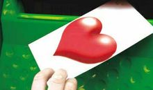 鲸鱼给人类的一封信