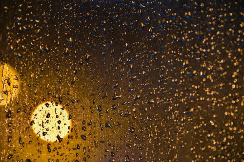 爱上了那场雨