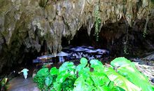 描写钟乳石的作文