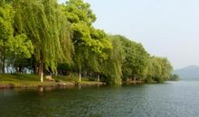 山水里的中国情怀