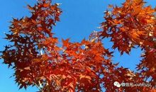 用足阳光，温柔以待