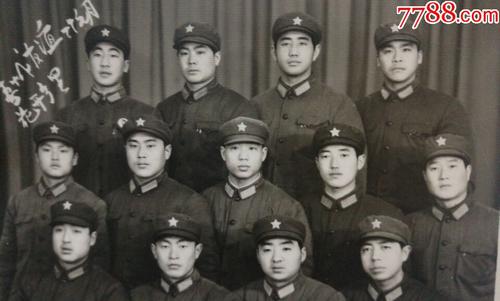 成千上万的树木为友谊而开花