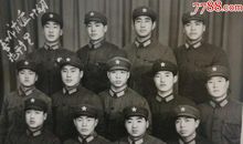 千树万树友谊花开