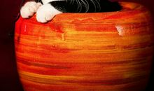 我骄傲，我自豪