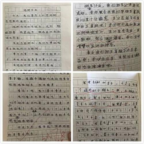 蔬菜日记