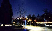 灯火点点照阑珊