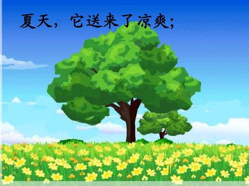风在哪里
