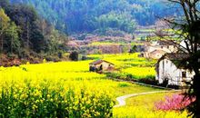 乡下的四季生活