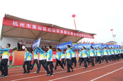 农场游戏