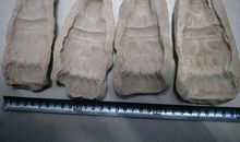 参加陶瓷泥活动