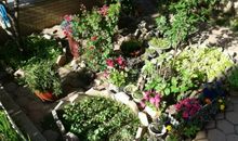 夏日庭院读后感