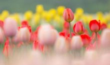 守住心头的幸福