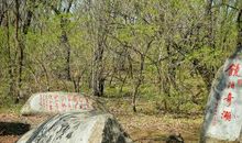 走在诗词歌赋的路上