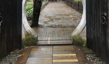 从百草园到桥亭小镇