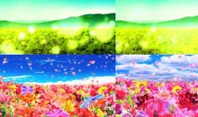 十八岁，应把年华活成花