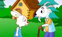 爷爷家的小白兔