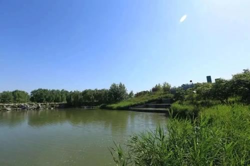 湿地公园的夏天
