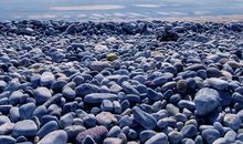 那也是一道风景