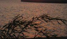 我爱你祖国的大海