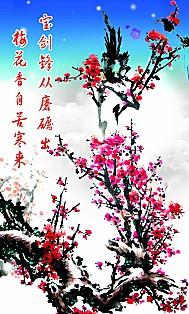 原来，香香来自严寒