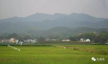 我喜欢乡村生活