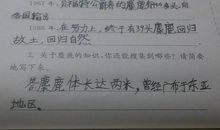 描写苹果树的作文