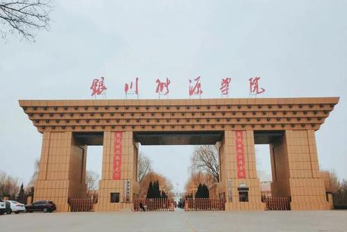 天鹅囚犯