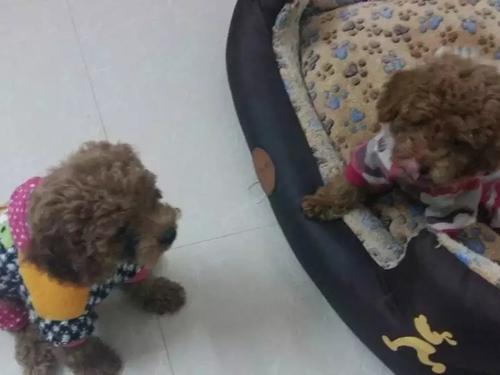 我家的“三宝”