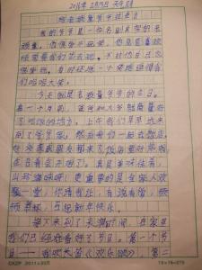 关于饮食的组成