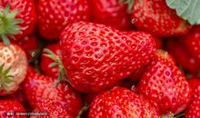 那鲜红的草莓