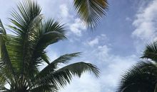 神奇美丽的西双版纳