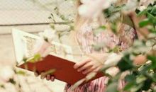 一盏一盏的灯读后感