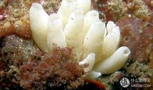 深藏在心底悔恨