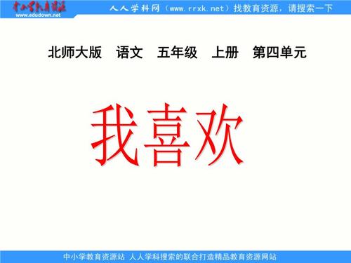 我喜欢中文