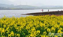 春风是一道靓丽的风景线