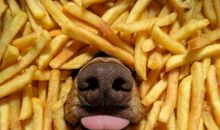 心里有话对你说