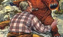 我和牙齿的战争